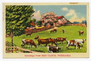 Image description is not available for PHO-264-815